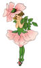 fairy