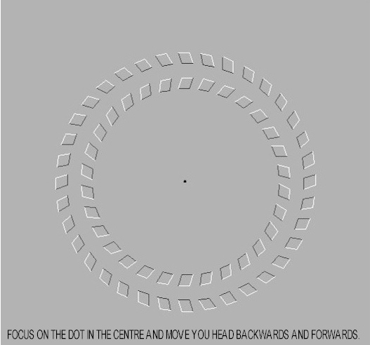 dot illusion