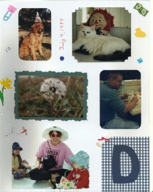 D page